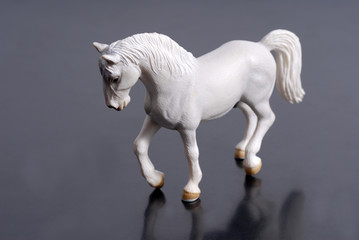 biały konik, white horse