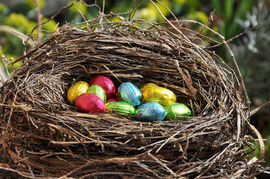 nid de paques 1