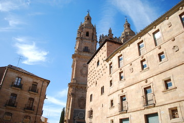 Fototapeta na wymiar University and House of Shells 2, Salamanca, Spain