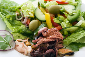 Meeresfrüchte mit grünem Salat