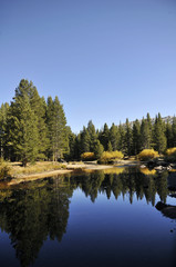 yosemite collection 7