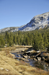 yosemite collection 8