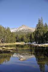 yosemite collection 13