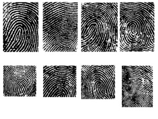 8 Fingerprint Crops