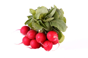 Radieschen