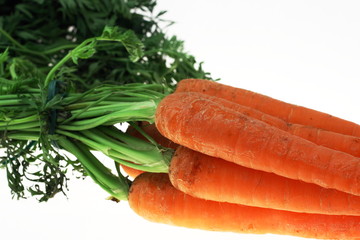 carrot