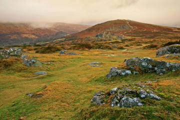 Hillside view