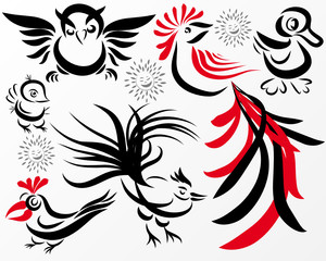 Set of various birds