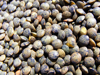 French lentils