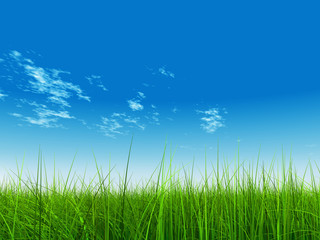 Obraz na płótnie Canvas green grass over a blue sky with white clouds as background