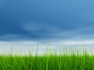 green grass over a blue sky with white clouds as background