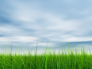 Fototapeta premium green grass over a blue sky with white clouds as background