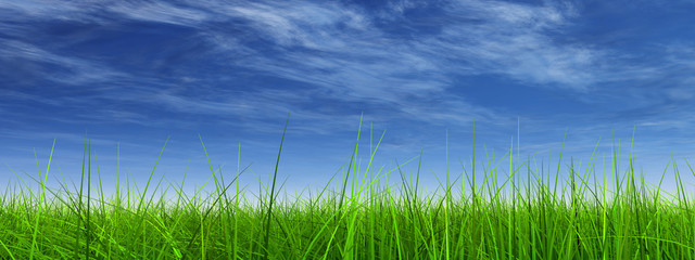 green grass over a blue sky with white clouds as background