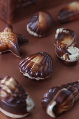 belgische pralinen