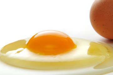 Eggs