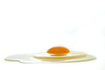 Egg