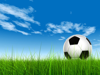 3D black soccer ball,green grass and a blue sky with clouds