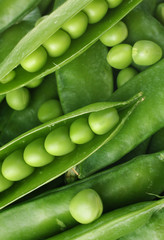Peas background
