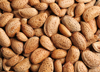 Almond background