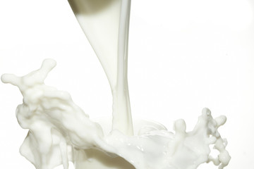 Milch Milchshake