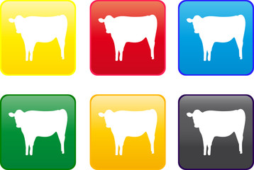 Cow web button
