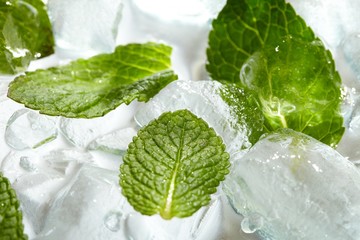Leaves of mint in ice