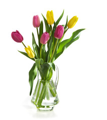 Spring tulips in jug