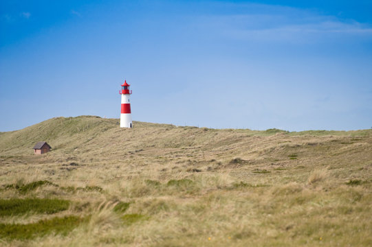 Leuchttum am Ellenbogen