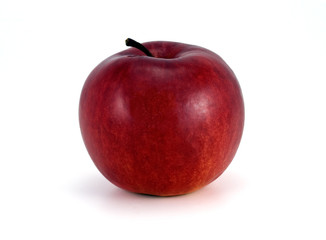 isolated red apple