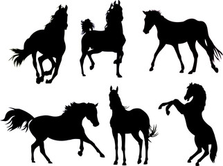 Horse Silhouette Collection