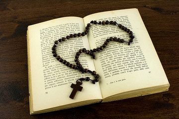 rosario sul libro
