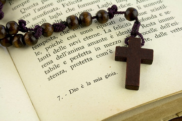 rosario sul libro