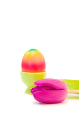 colorful egg in eggcup isolated on white. space for text