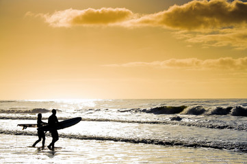 Surfer's Paradiese