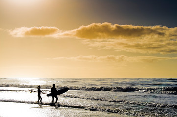 Surfer's Paradiese