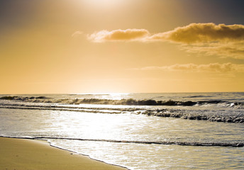 Surfer's Paradiese