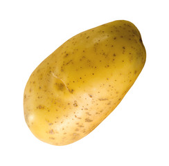 LARGE FRESH POTATO