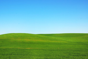 Green field at Alentejo region,Portugal.
