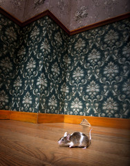 mouse walking in a luxury old-fashioned roon