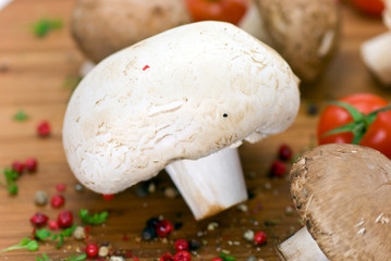 weisse und braune champignons 9