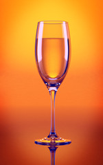 Сhampagne glass in orange