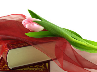 Tulipan z książkami