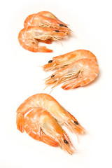 Crevettes, cooked prawns (shrimp) isolated on white