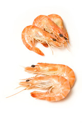 Crevettes, cooked prawns (shrimp) on a white studio background