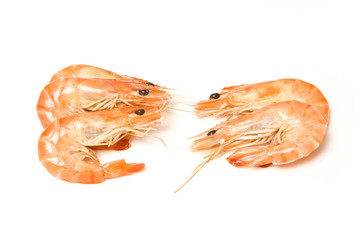 Crevettes, cooked prawns (shrimp) on a white studio background