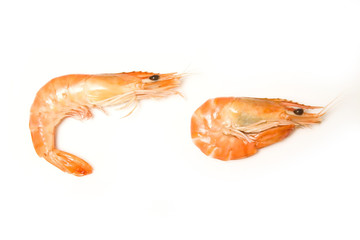 Crevettes, cooked prawns (shrimp)