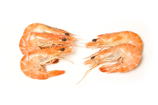 Crevettes, cooked prawns (shrimp) isolated on white