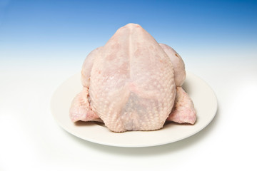 Whole raw chicken with a graduated blue studio background.