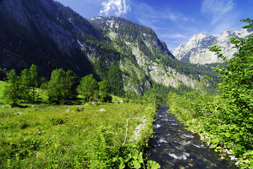 Alpine brook