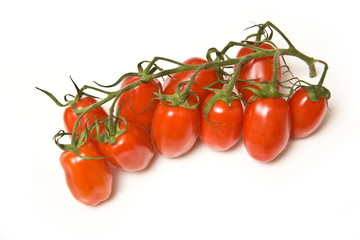 Italian Marzinino vine tomatoes